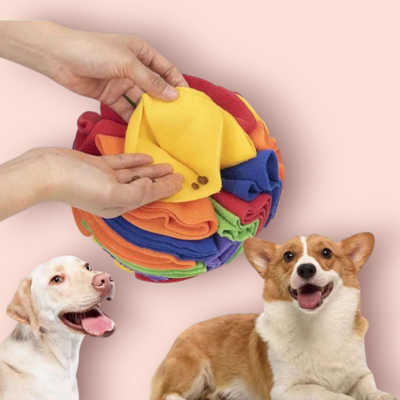 Dogs Pet Snuffle Ball Sniffing Boredom Relief