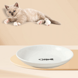 Ceramic Raised Pet Bowl Food Water Treats for Cats & Dogs